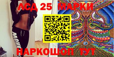 спиды Кандалакша