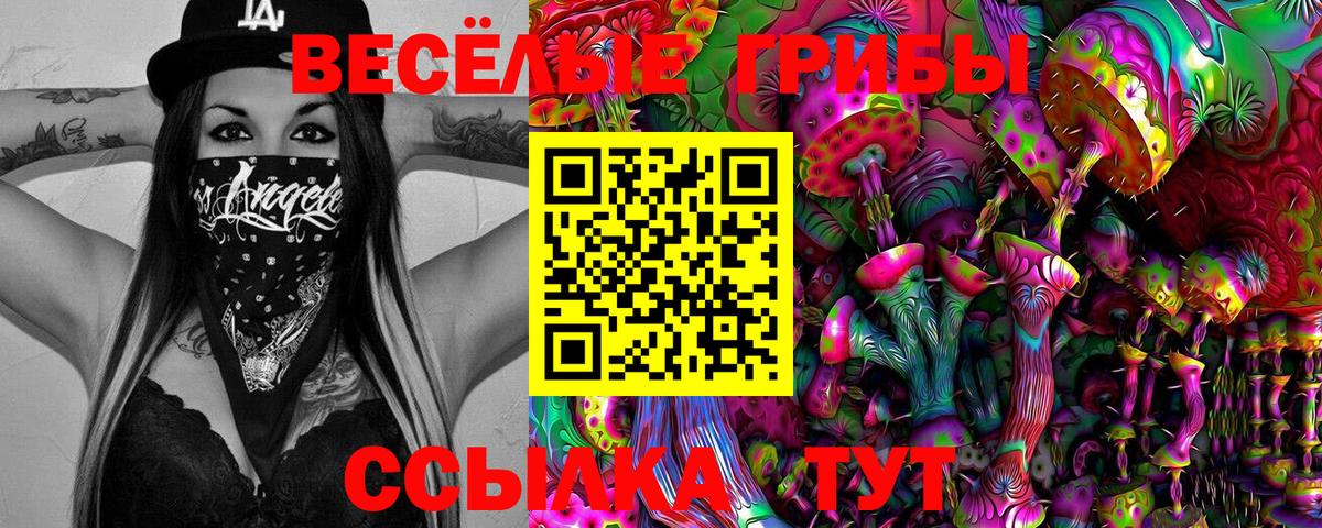 Галлюциногенные грибы GOLDEN TEACHER  Вход с VPN  Псилоцибиновые грибы Cubensis  Нижний Тагил 