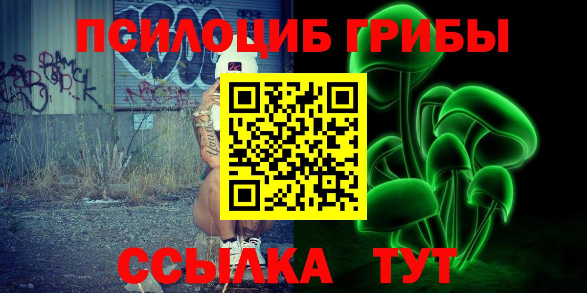 Псилоцибиновые грибы Cubensis Нижний Тагил