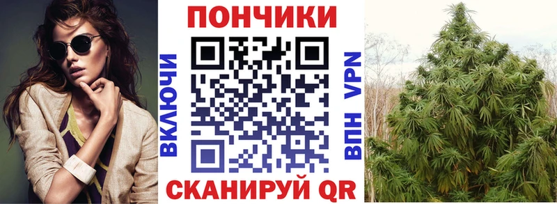 блэк спрут tor  Нижний Тагил  МАРИХУАНА Amnesia 