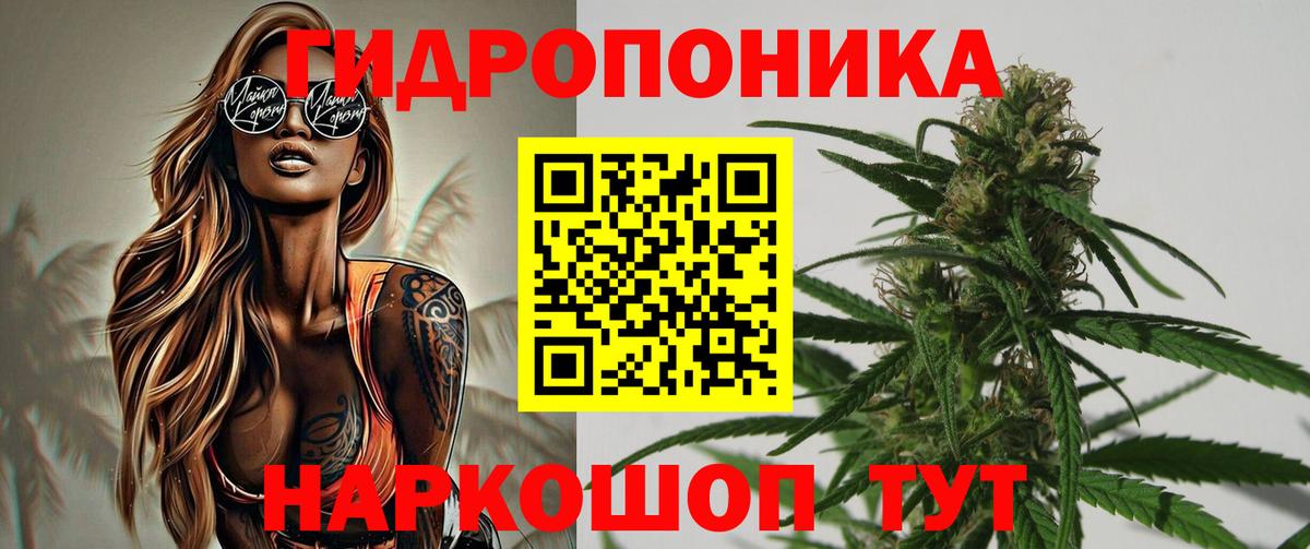 Канабис сатива  МАРИХУАНА White Widow  Марихуана ГИДРОПОН  Нижний Тагил  Вход с VPN 